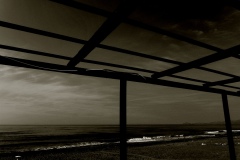 mare