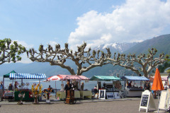 Ascona