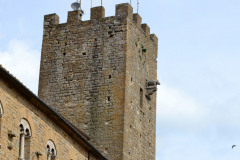 Volterra