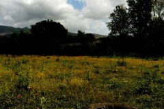 paesaggi campani