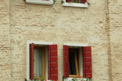fiori alla finestra