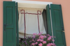 fiori alla finestra