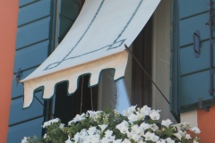fiori alla finestra