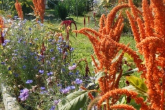 colori naturali
