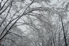 bianco neve
