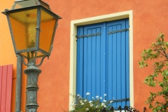 fiori alla finestra