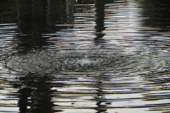 acqua