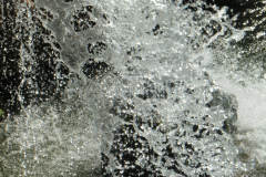 acqua