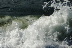 spuma