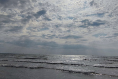 IMG_20250818_094933
