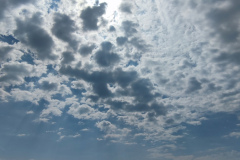 IMG_20250818_113037