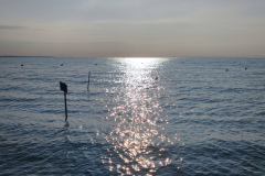 IMG_20250819_075801