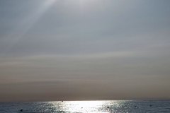 IMG_20250819_075847