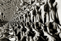 Cimitero delle Fontanelle, Napoli