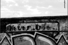 street art, Caserta