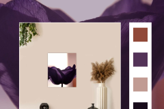anemone e trasparenze