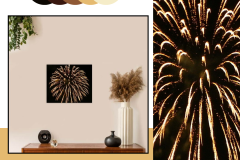 firework 1