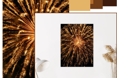 firework 5