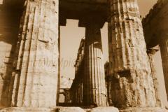 Paestum, particolari