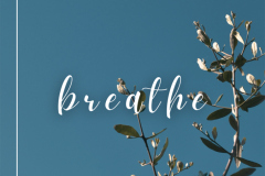 breathe