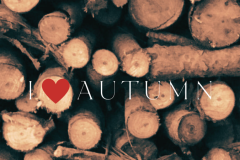 i love autumn